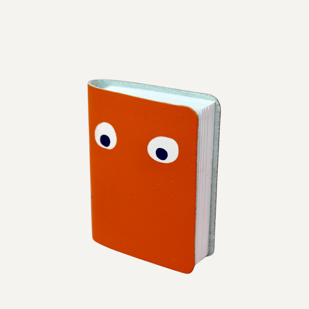 Googly Eye Mini Notebook