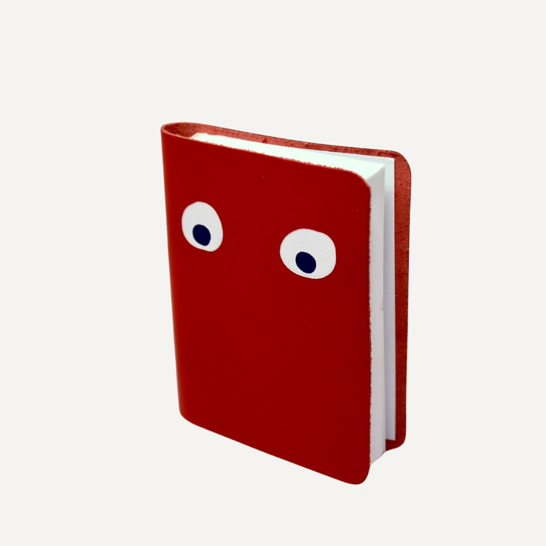 Googly Eye Mini Notebook