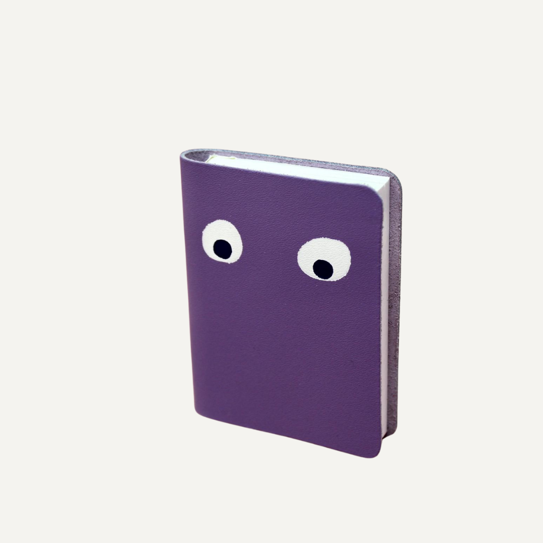 Googly Eye Mini Notebook