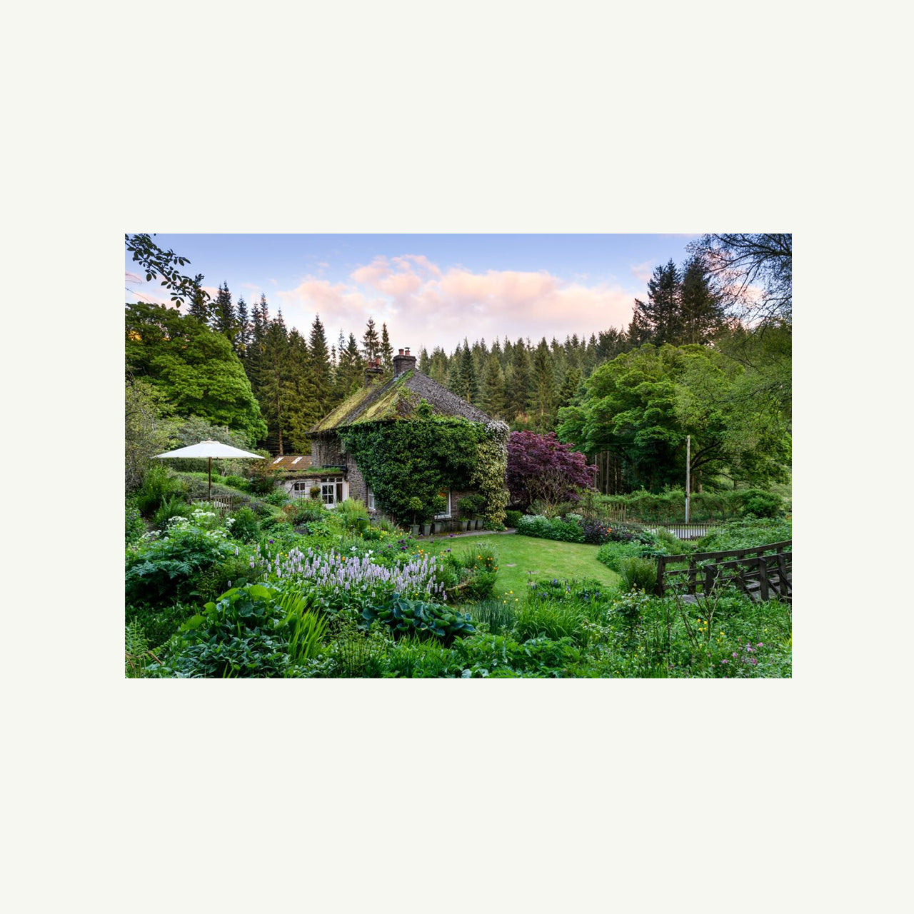The Avant Gardens