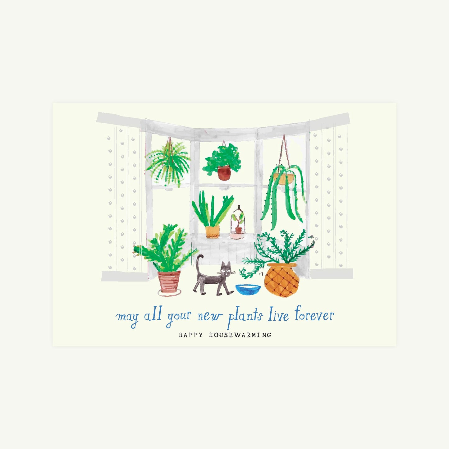 Another Fern?