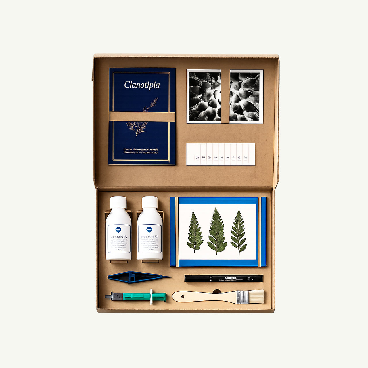 Cyanotype Kit