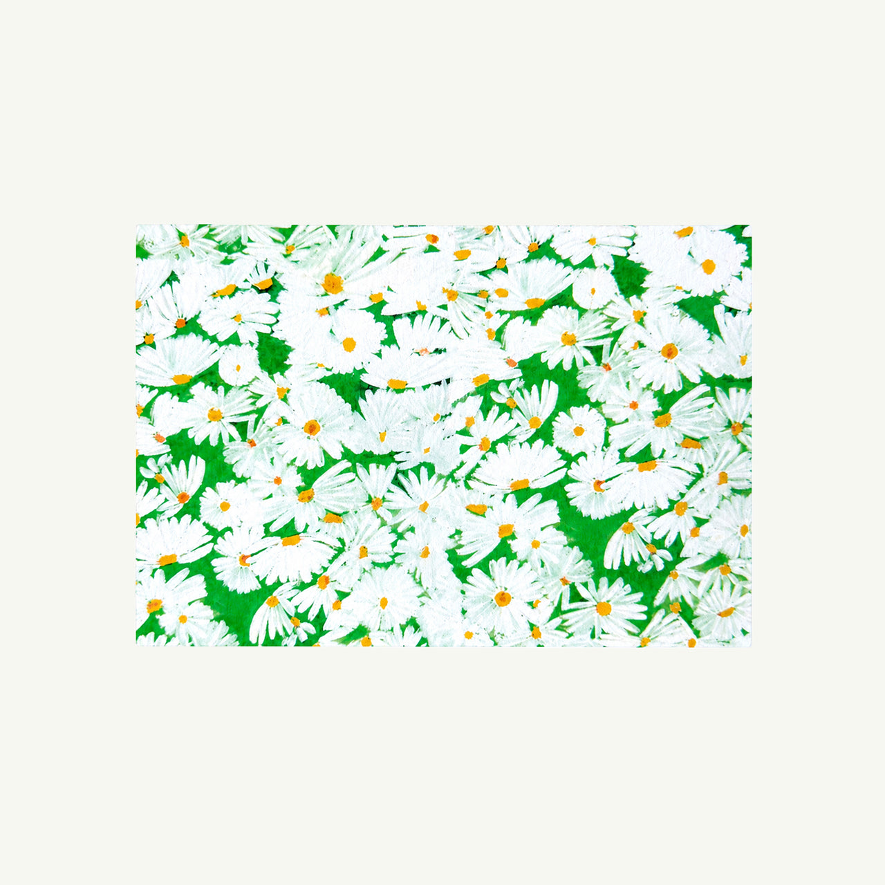 Daisy Notecard Set