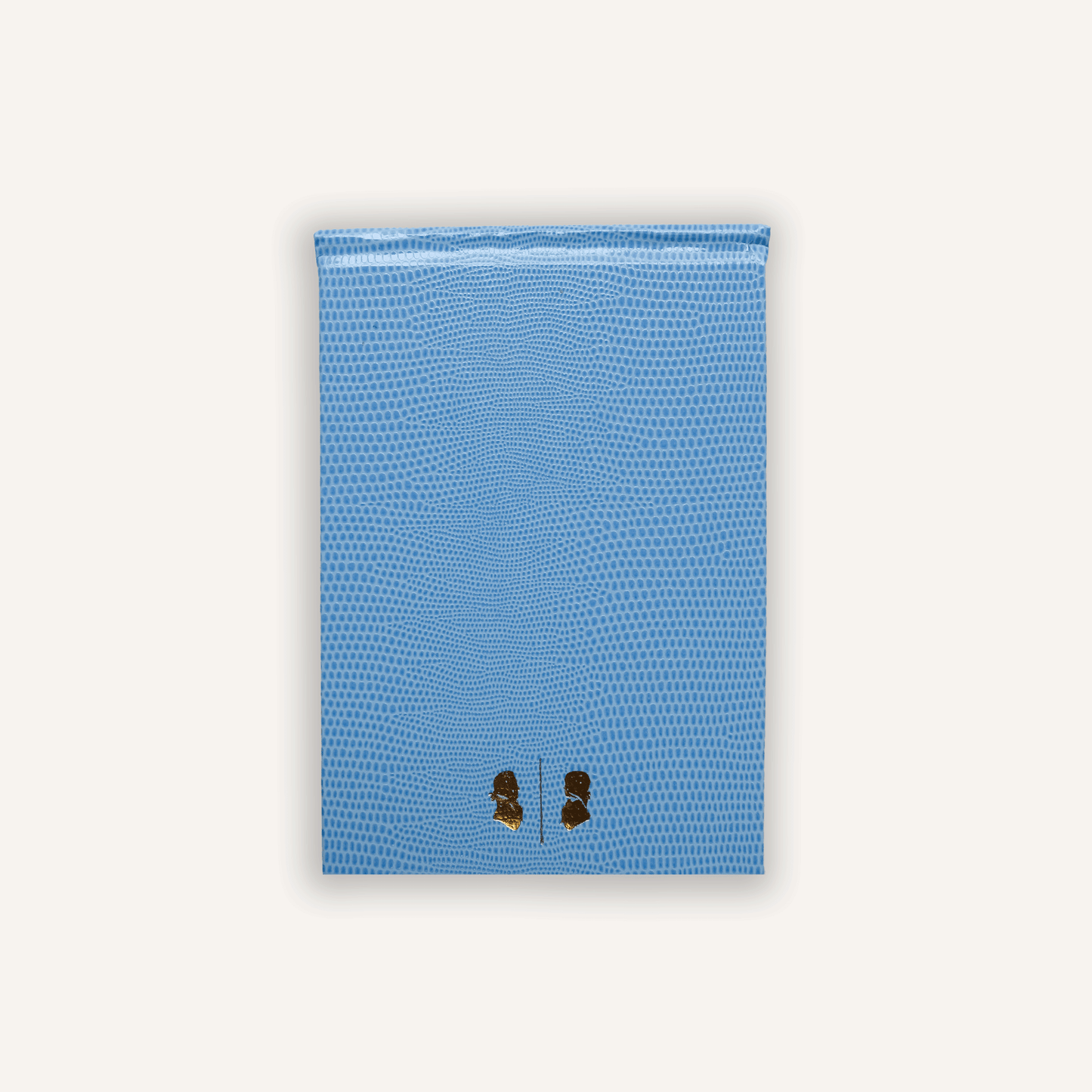 Mr. Boddington's Desk Notepad - Sky Blue