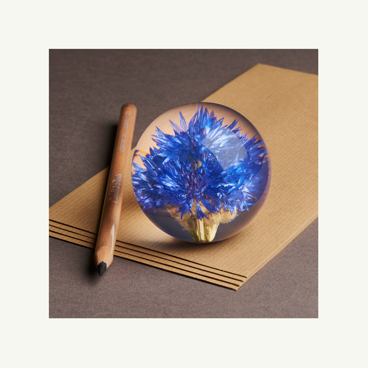 Cornflower Large Paperweight