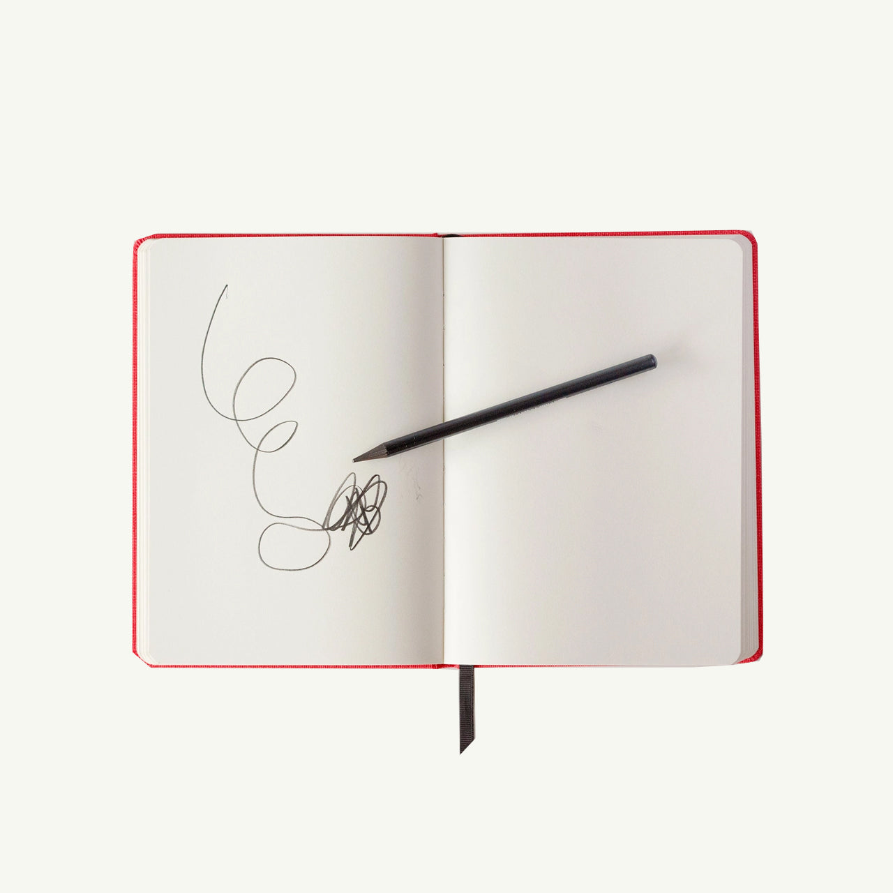 A Notebook for Bad Ideas