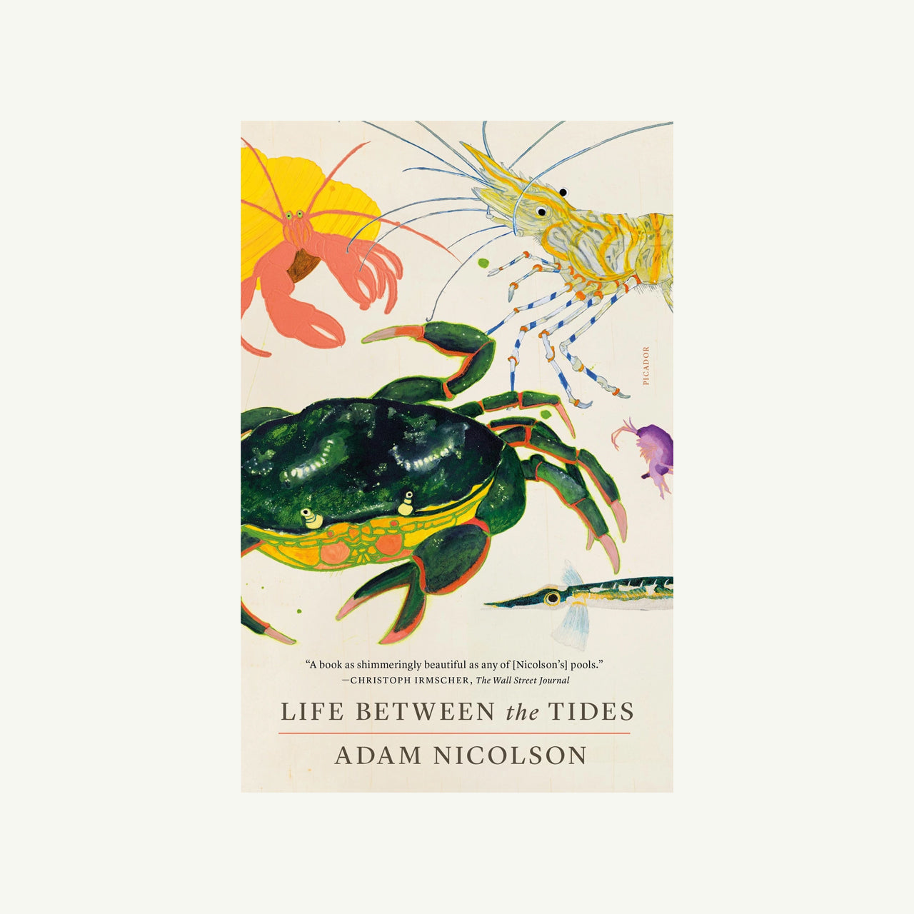 Life Between The Tides