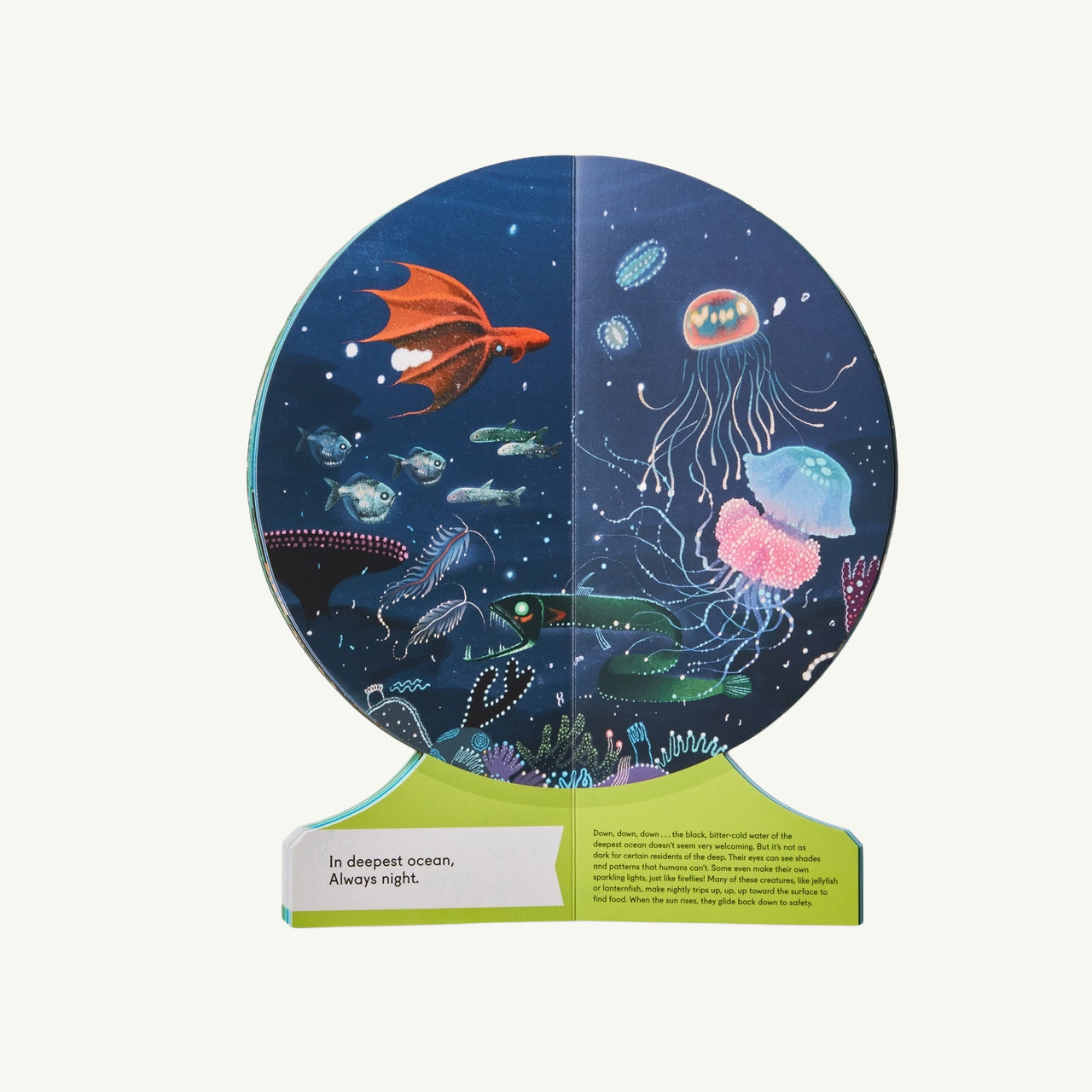 Our Underwater World: Dive Into Oceans, Lakes, Rivers