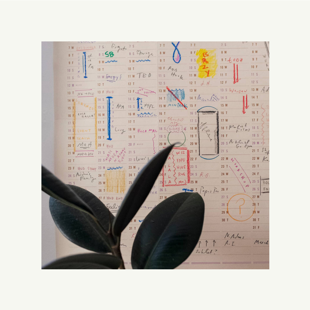 One Year Wall Calendar 2026