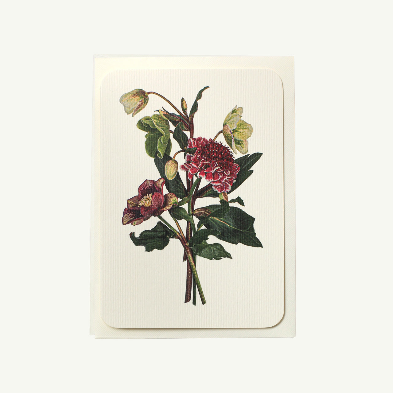 Posy of Hellebore + Scabiosa Greeting Card