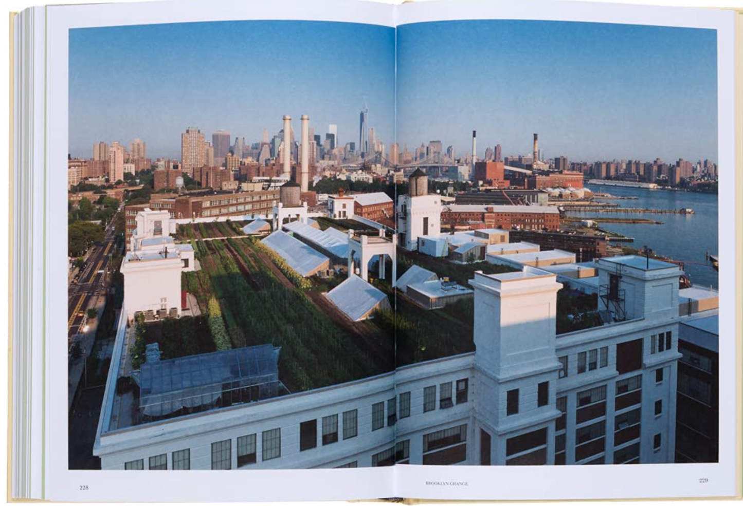 Urban Farmers