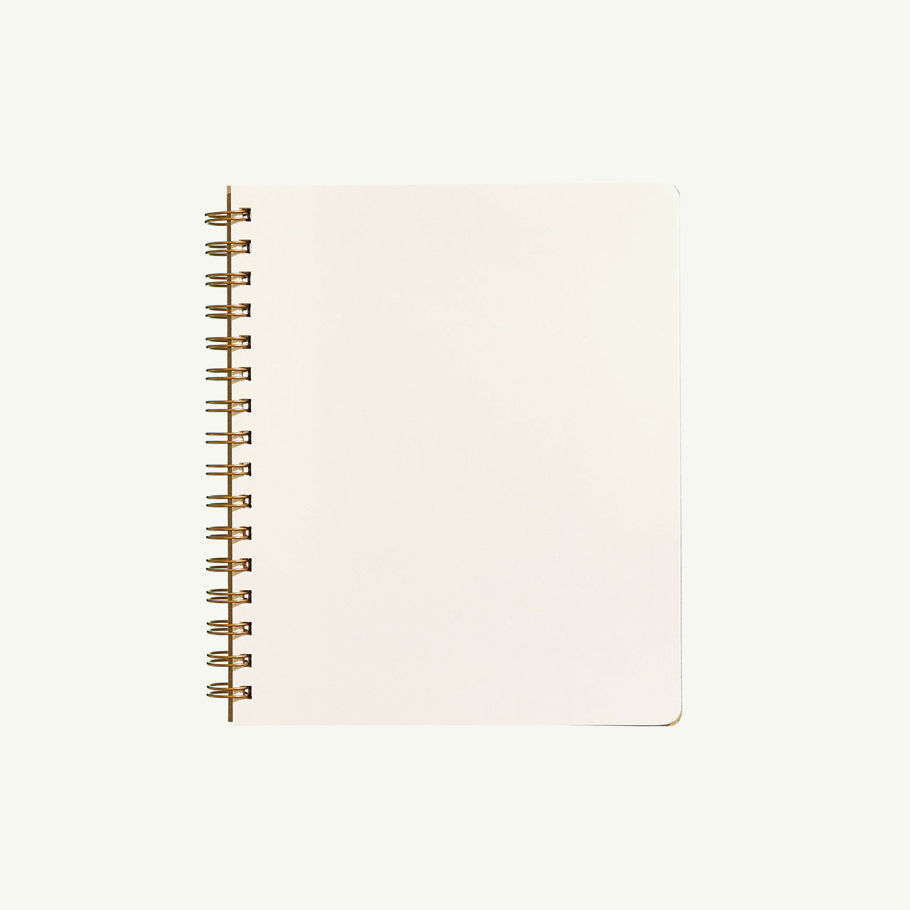 Standard Notebook - Mint