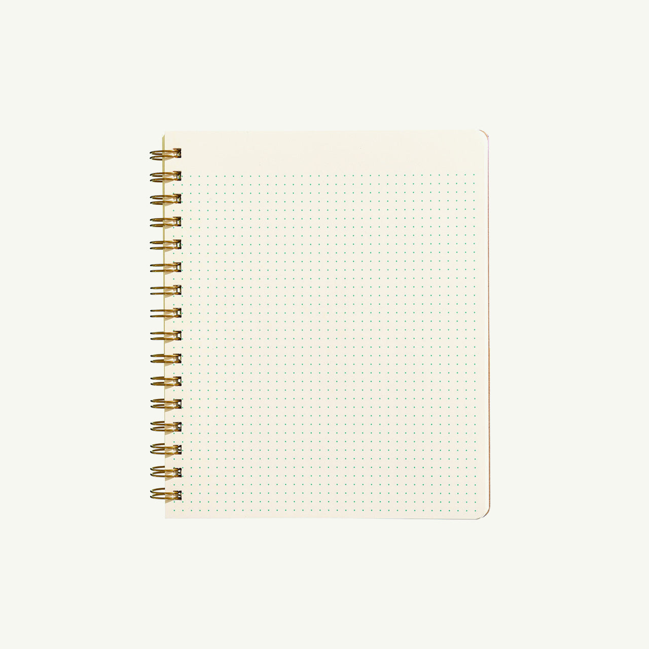 Standard Notebook - Mint