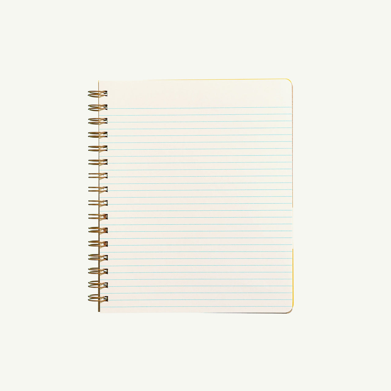 Standard Notebook - Mint