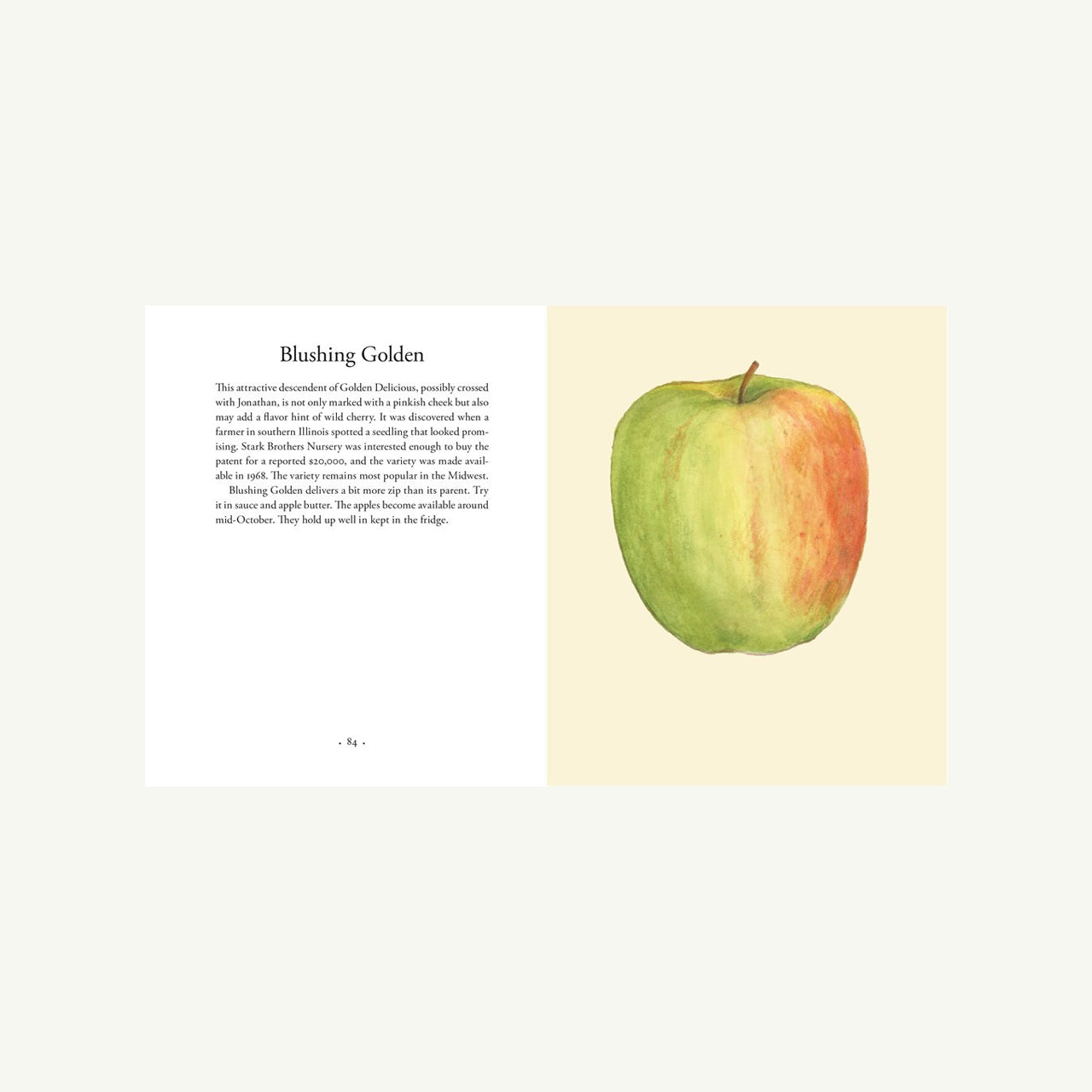Apples
