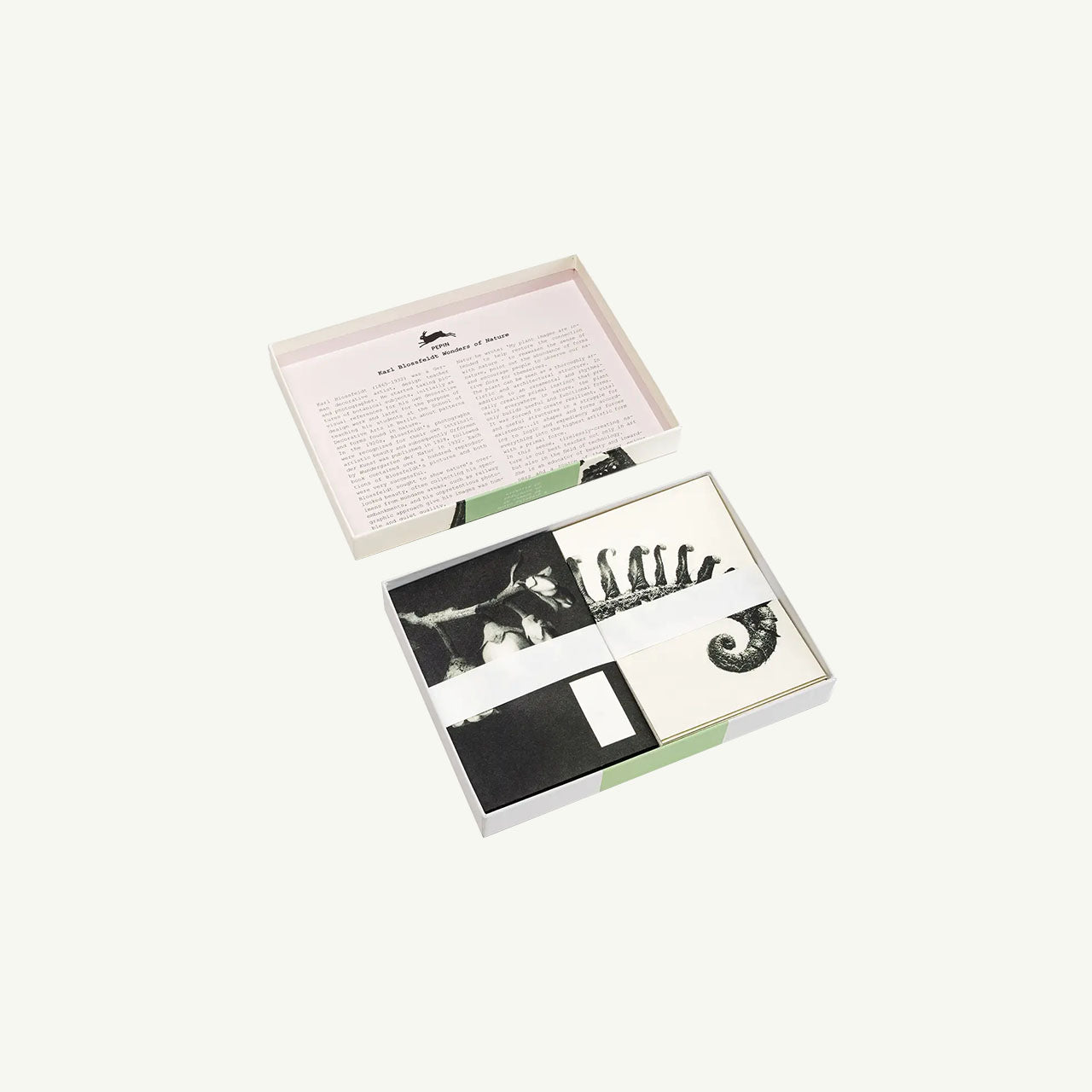 Wonders of Nature Correspondence Set