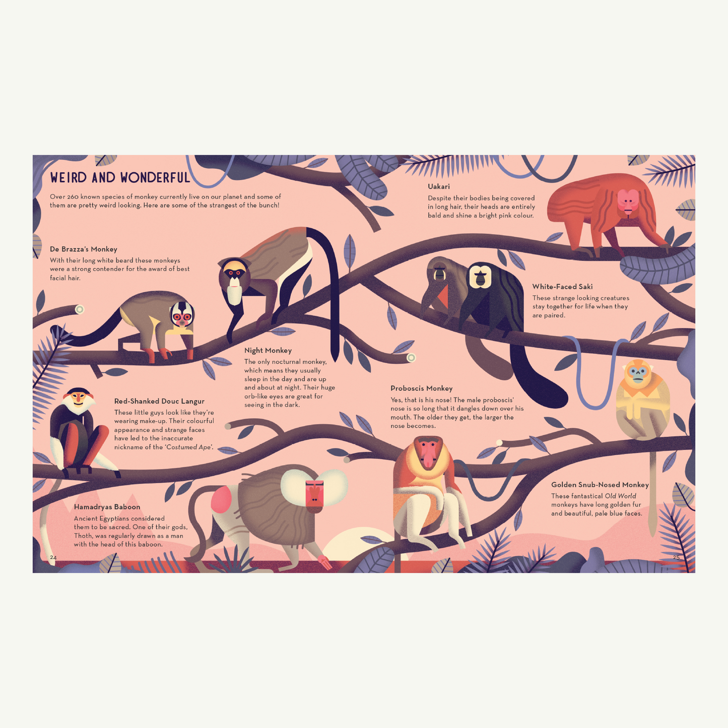 Mad About Monkeys