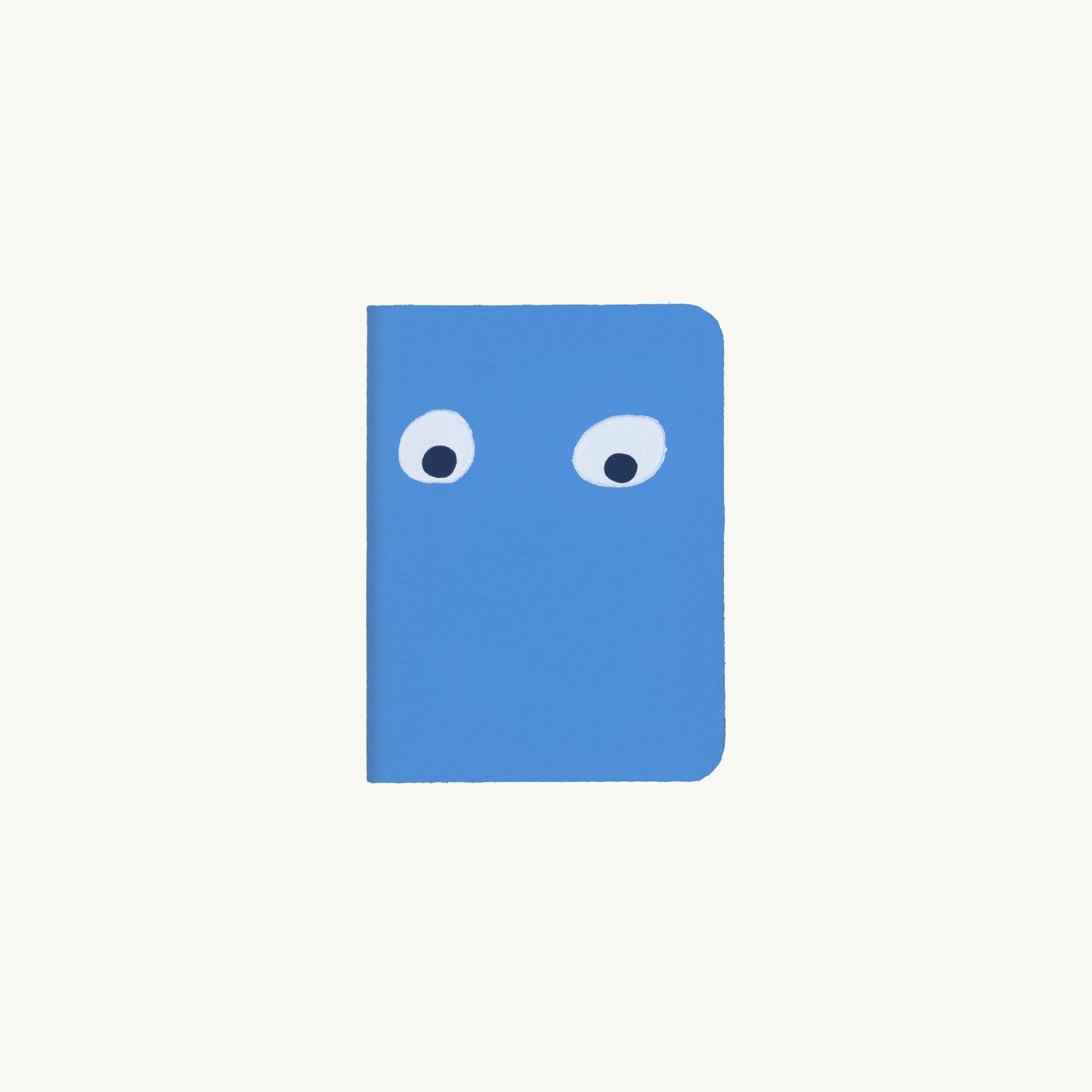 Googly Eye Mini Notebook