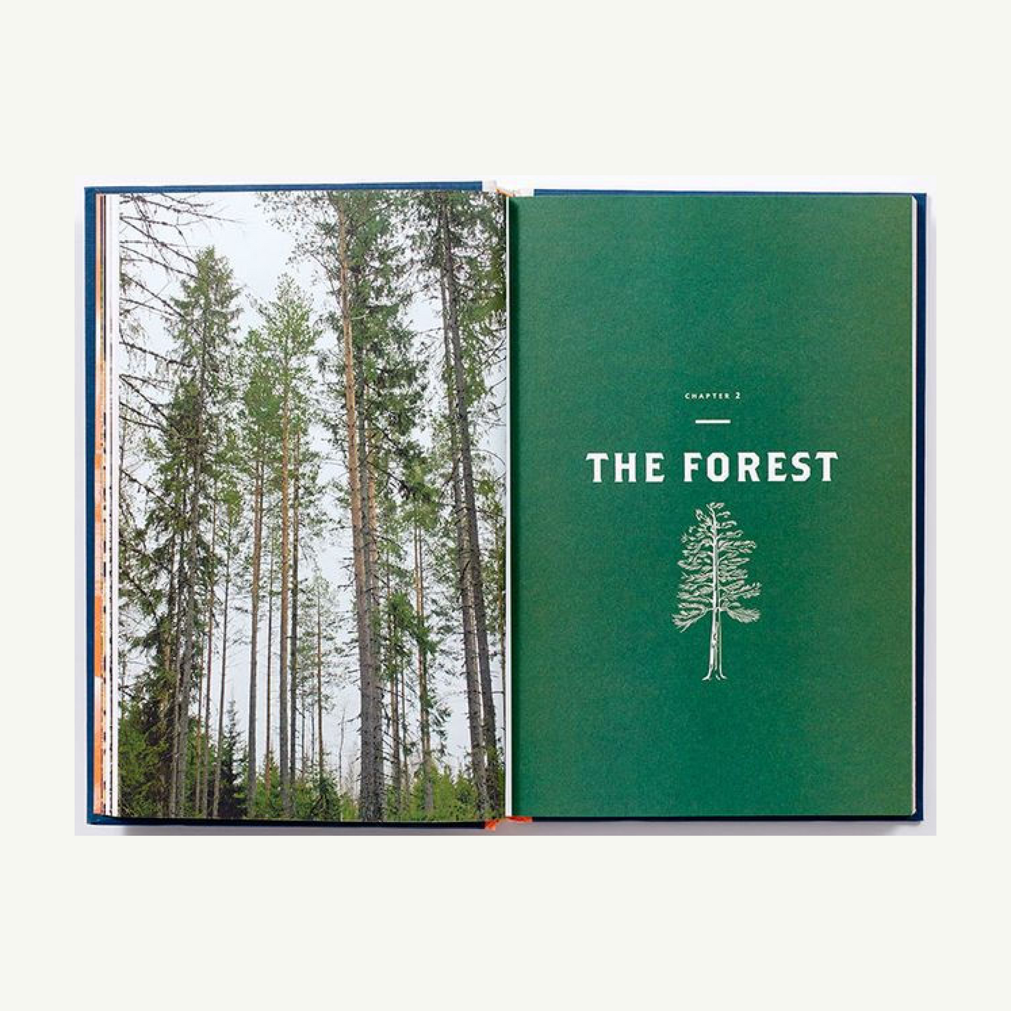 Norwegian Wood