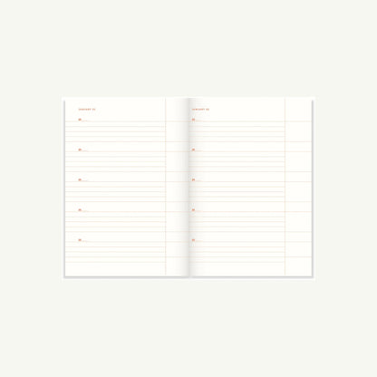 One Line A Day - Pink Checkered