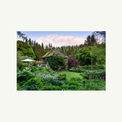 The Avant Gardens