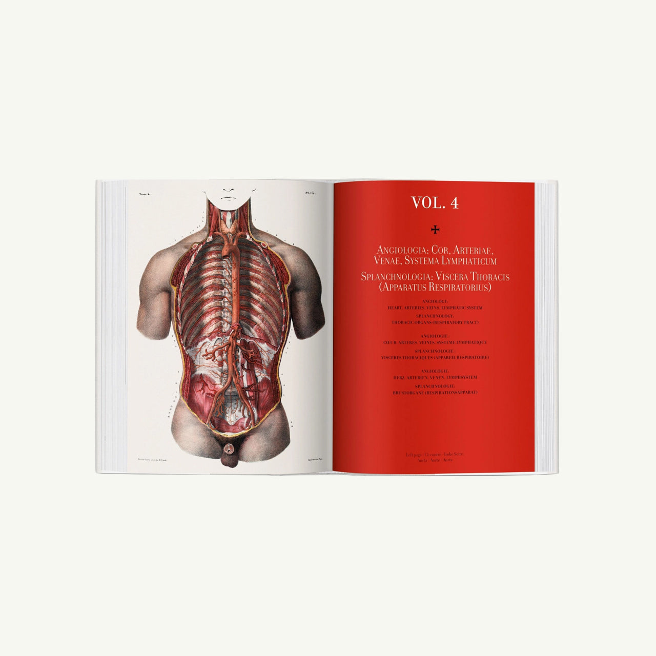 Atlas of Human Anatomy and Surgery