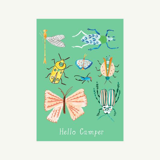 Look, a Dragonfly!