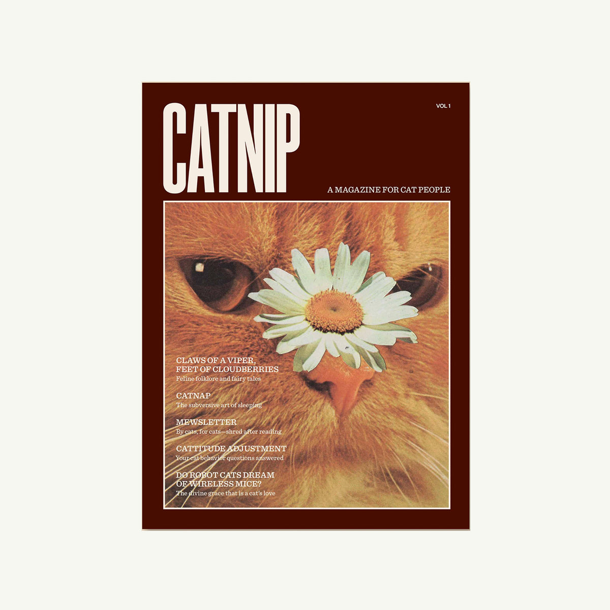 Broccoli’s Catnip Magazine cover: striking cat photo with a daisy on its nose.
