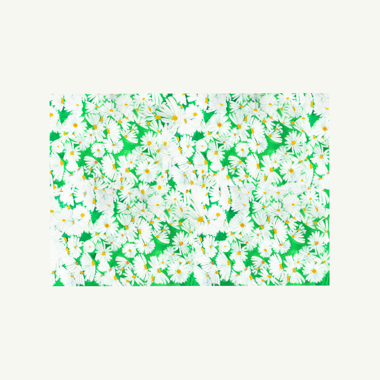 Daisy Gift Wrap