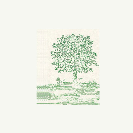 Fruit Tree - Blank Note Card