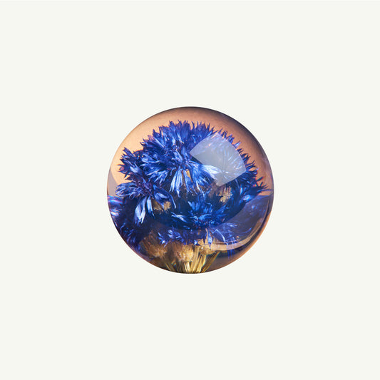 Cornflower Large Paperweight