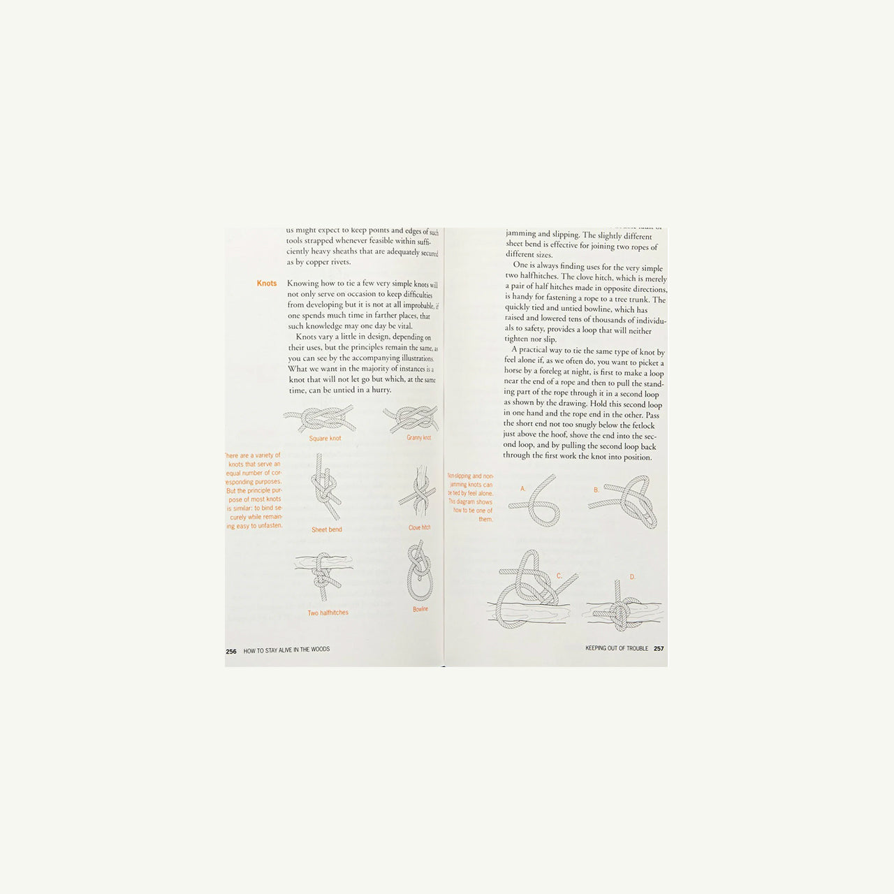 How to Stay Alive in the Woods