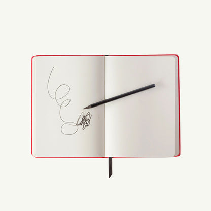 A Notebook for Bad Ideas