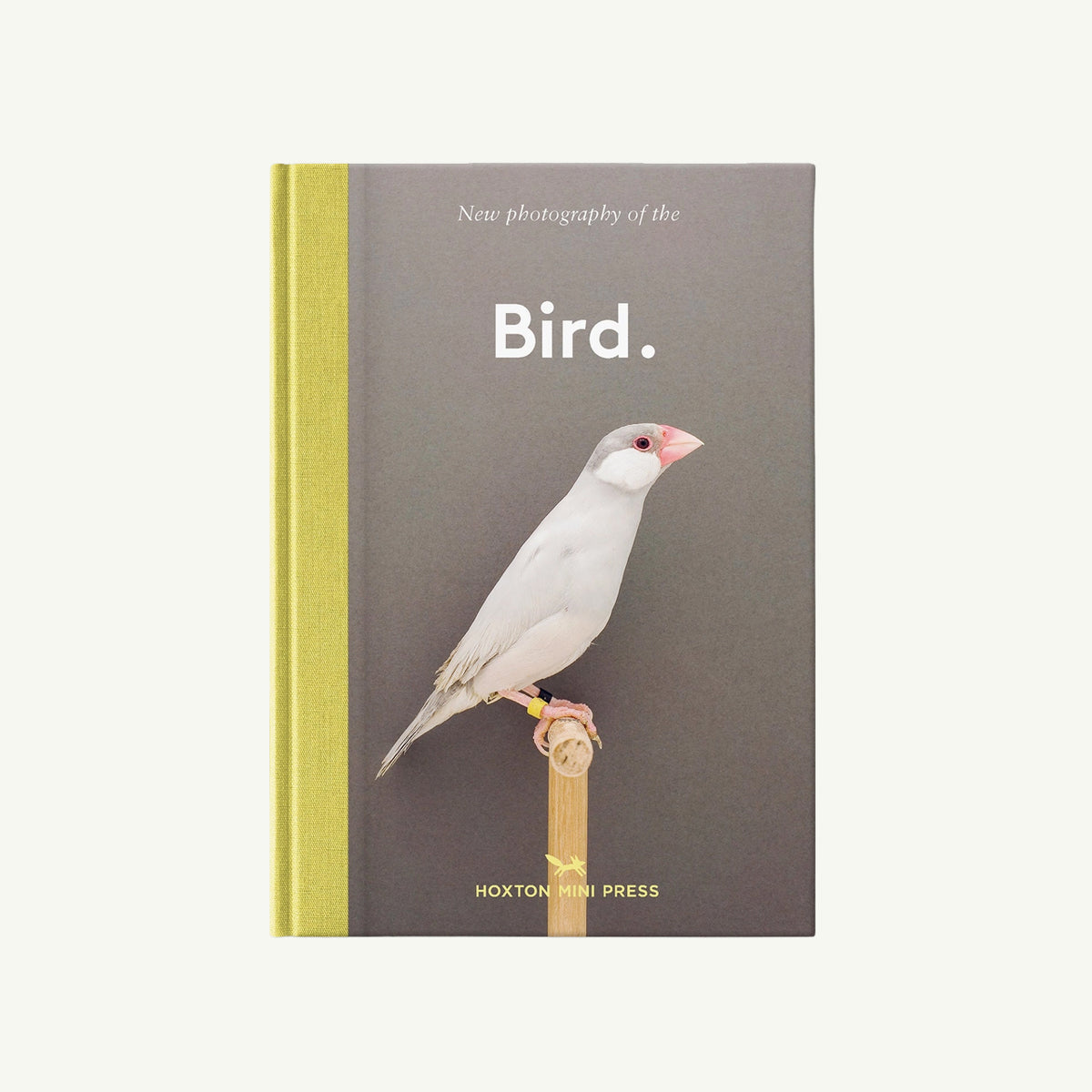 Bird.“—a Hoxton Mini Press book with a small white bird on the cover.