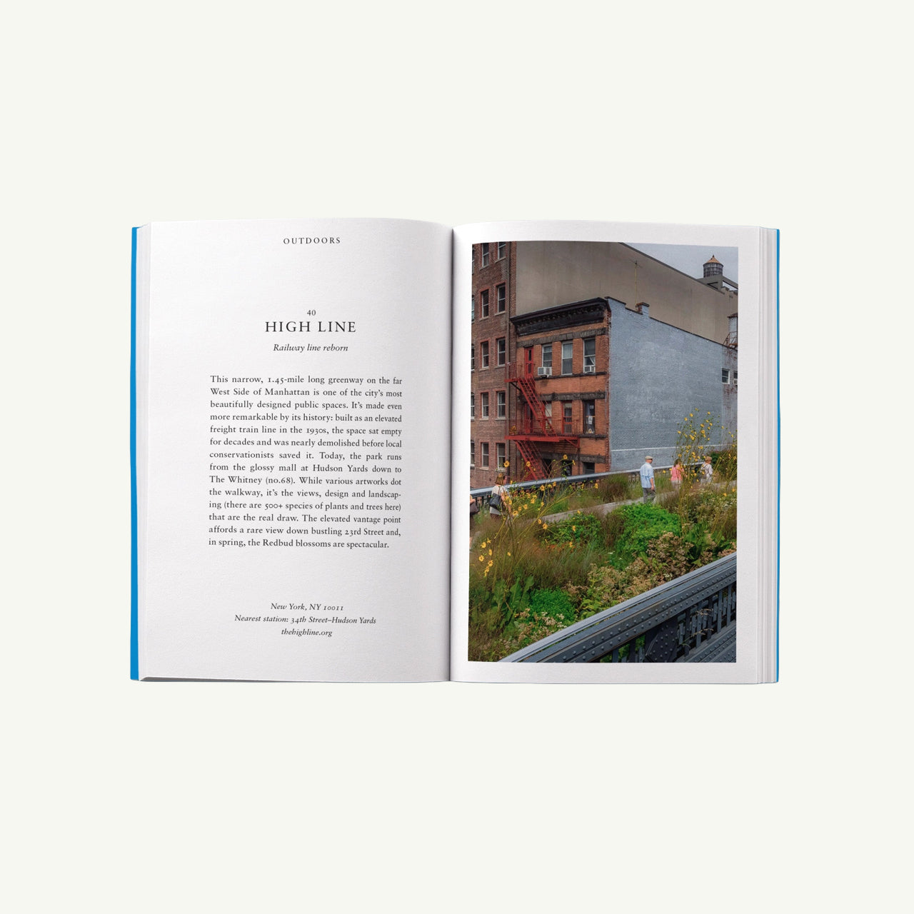 An Opinionated Guide to New York