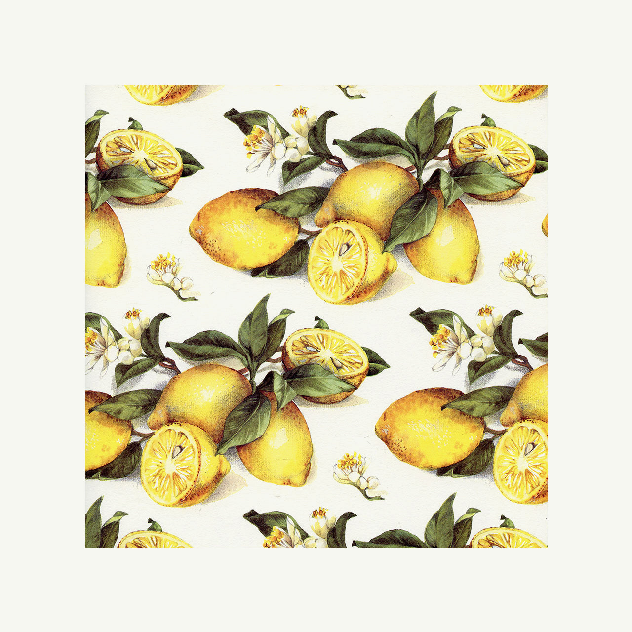 Italian Printed Paper