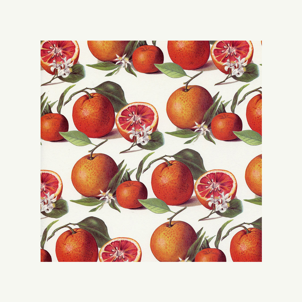 Italian Printed Paper