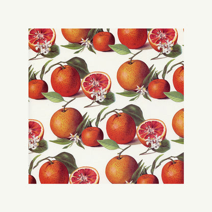 Italian Printed Paper