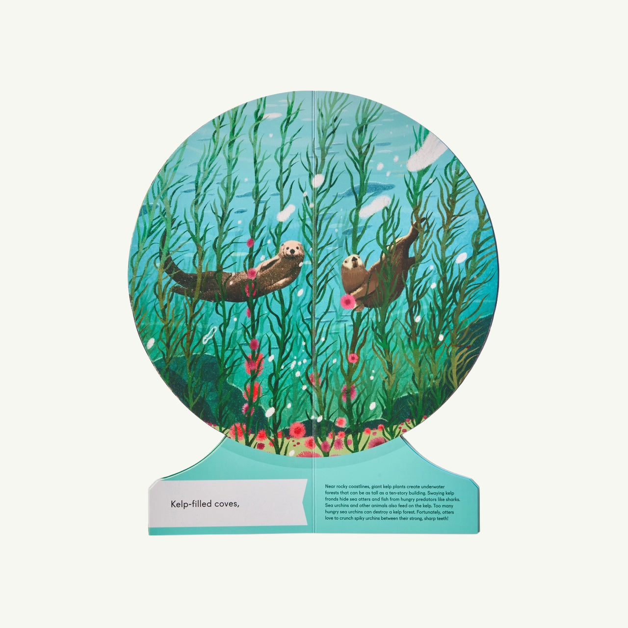 Our Underwater World: Dive Into Oceans, Lakes, Rivers