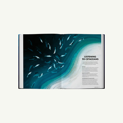 Mysteries of Marine Mammals: An Illustrated Guide