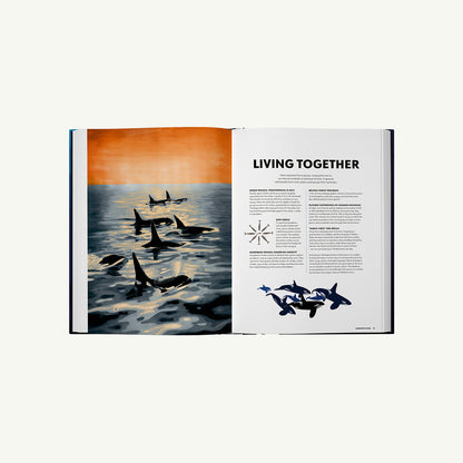 Mysteries of Marine Mammals: An Illustrated Guide