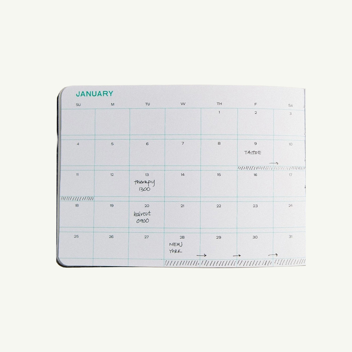 Open Case Study 2027 Pocket Planner, Monthly & Weekly Planner showing a calendar with notes.
