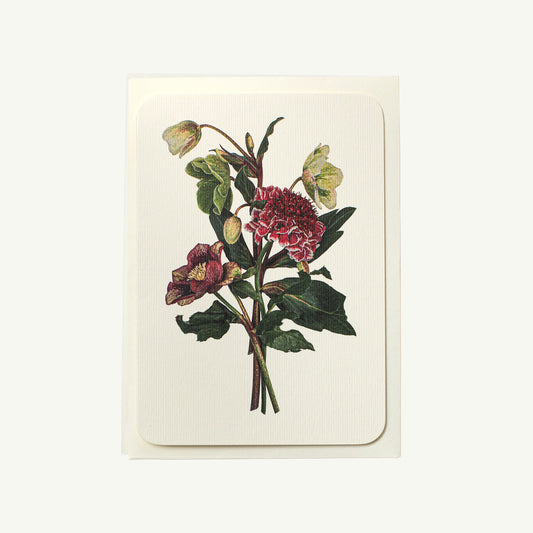 Posy of Hellebore + Scabiosa Greeting Card