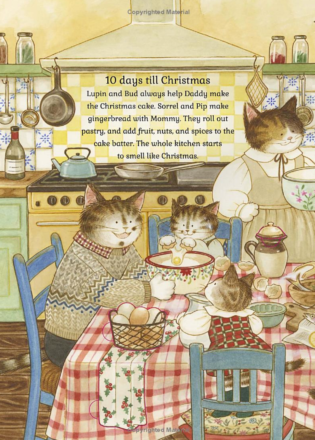 Cat Family Christmas: A lift-the-flap advent book