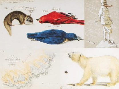 Explorer's Sketchbooks: The Art of Discovery & Adventure