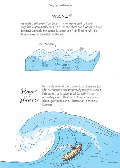 Ocean Anatomy