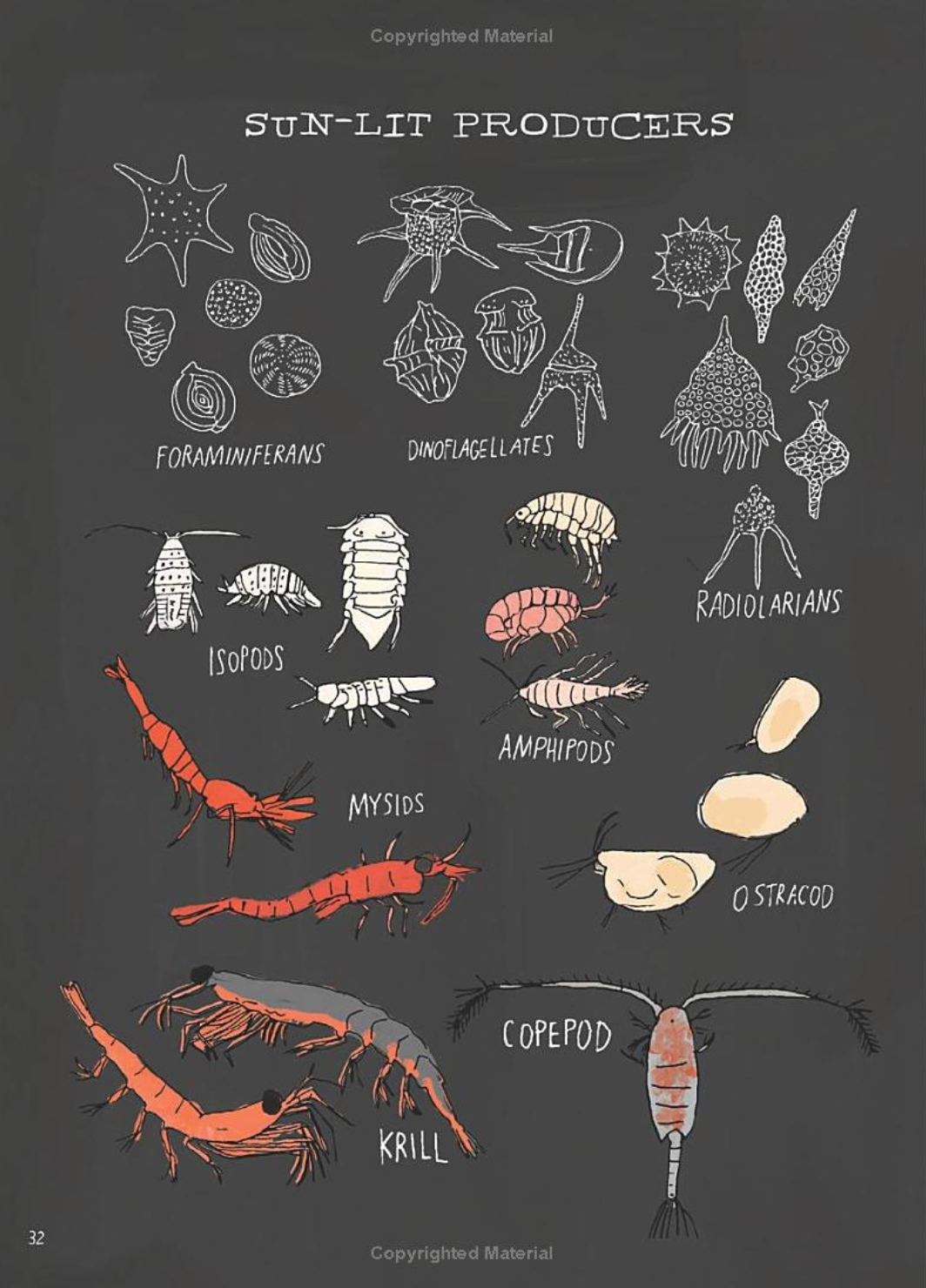 Ocean Anatomy