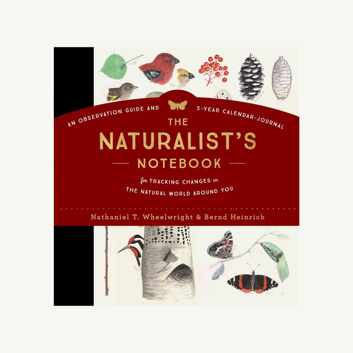 The Naturalist’s Notebook by Hachette Book Group; cover with birds, pinecones, and leaves.