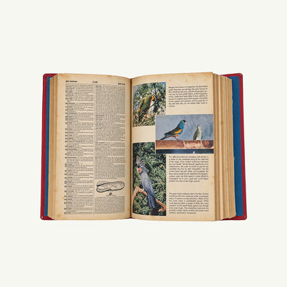 Vintage 1964 Webster Dictionary by Mr. Boddington’s Studio, red cloth binding, cream pages.