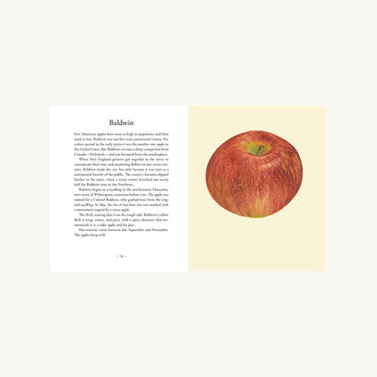Apples